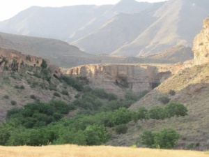 علی آباد نیزار قم